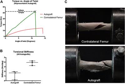 Angle-stable interlocking nailing in a canine critical-sized femoral defect model for bone regeneration studies: In pursuit of the principle of the 3R’s